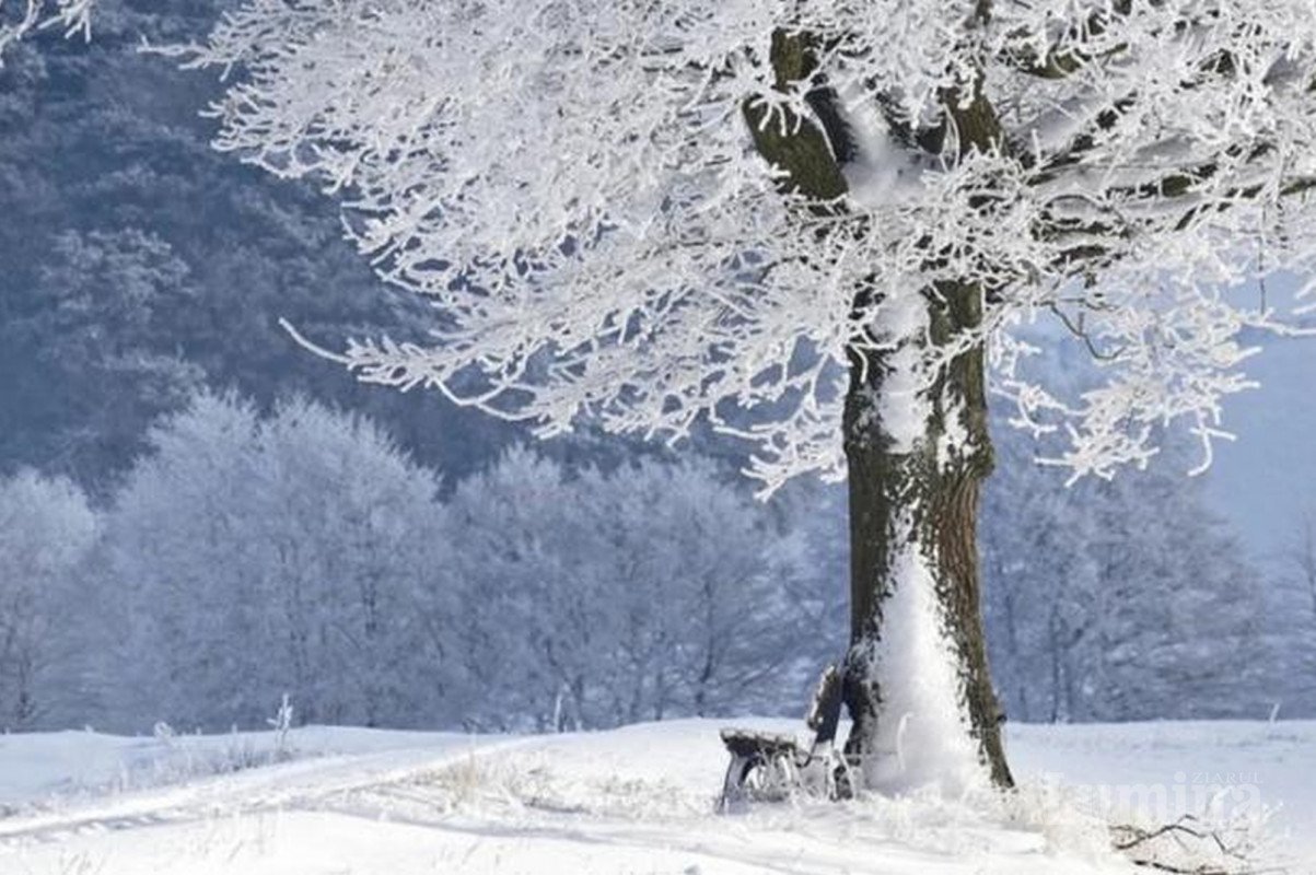 Ulița legendară  a Fălticenilor 163991
