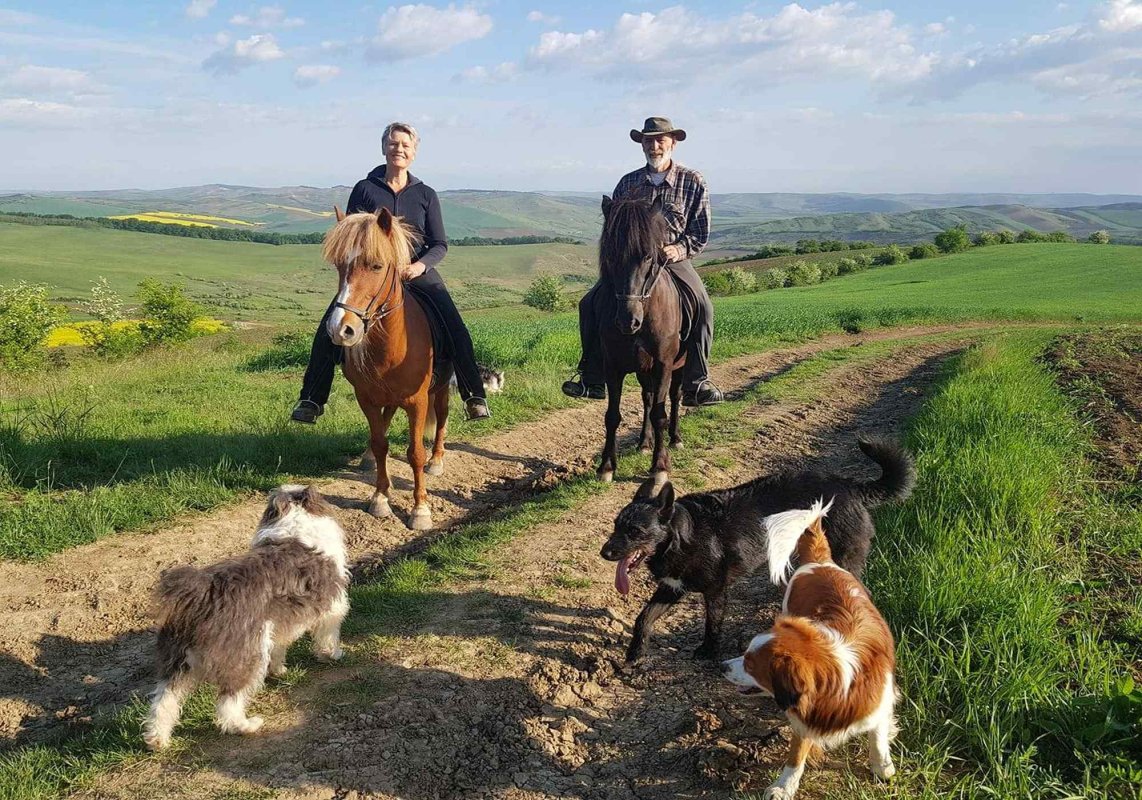 O familie din Țările de Jos crește cai islandezi în Oarba de Mureș 164205