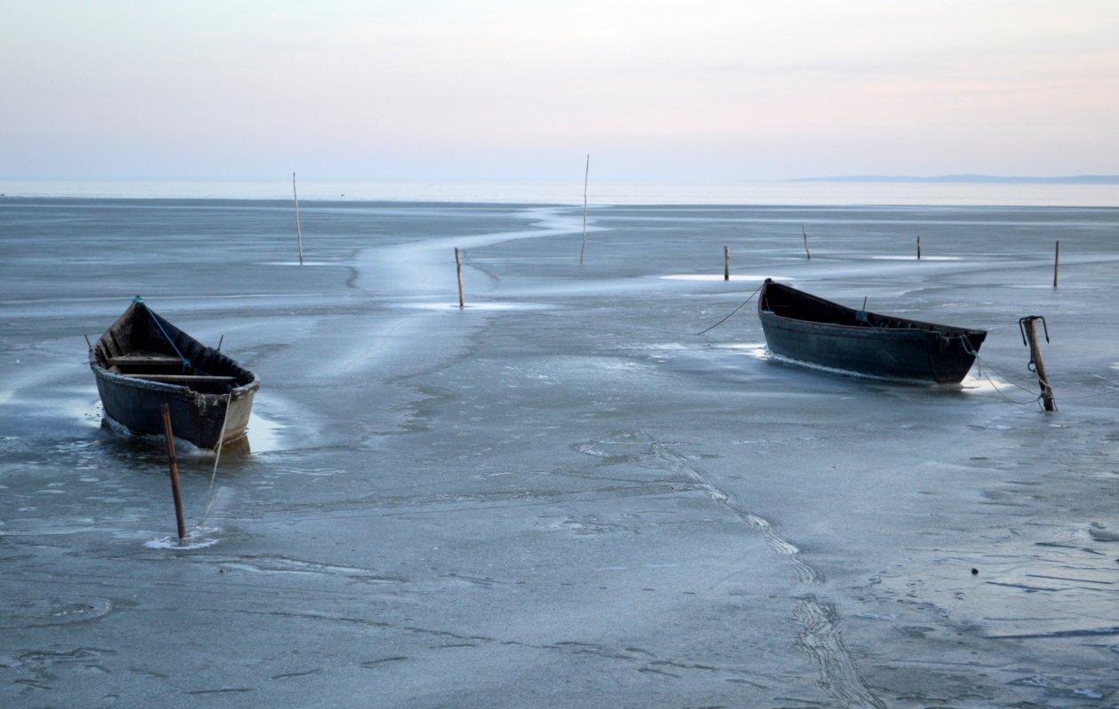 Delta, unul dintre cele mai preţioase ecosisteme ale lumii 164280