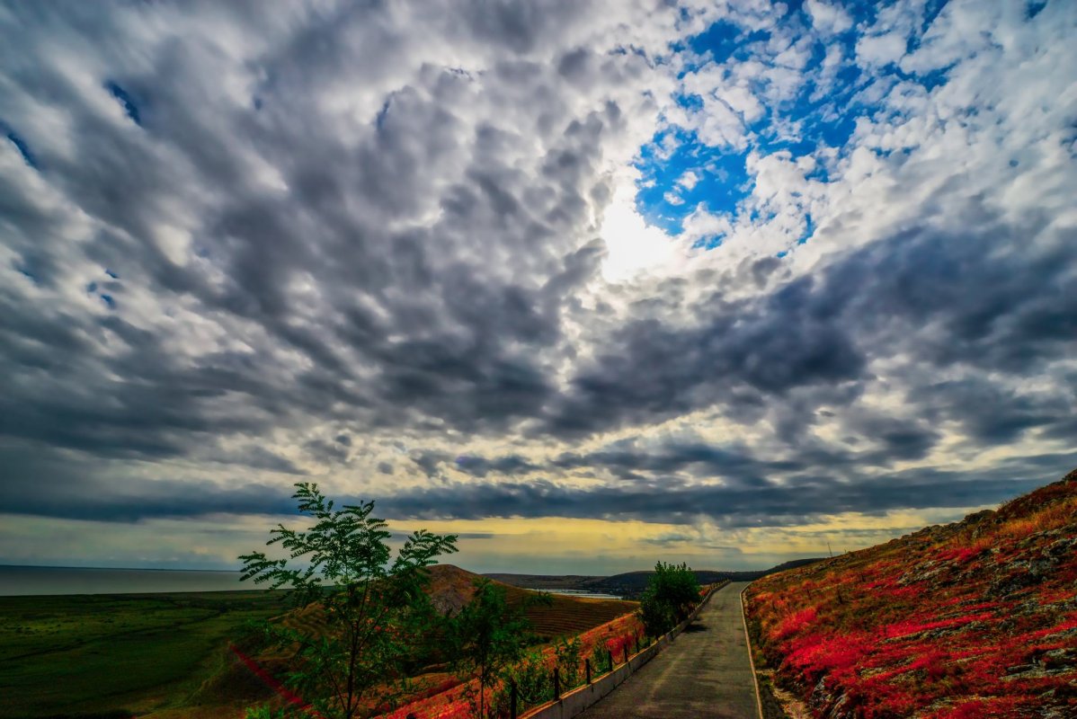 În car cu Marin Sorescu 164733