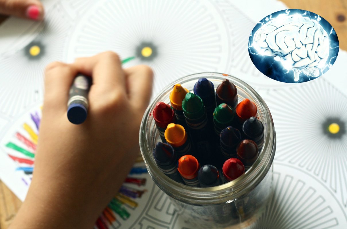 Toate experiențele influențează dezvoltarea creierului 165007