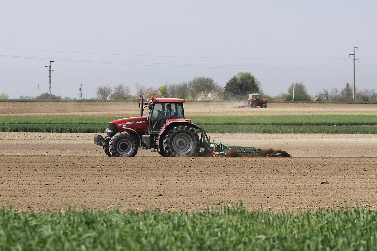 Cereri unice de plată depuse la APIA 165704