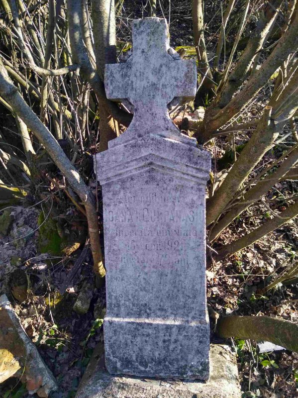 Istoria acestui neam  e scrisă pe crucile cimitirelor noastre 165848