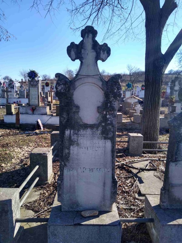 Istoria acestui neam  e scrisă pe crucile cimitirelor noastre 165850