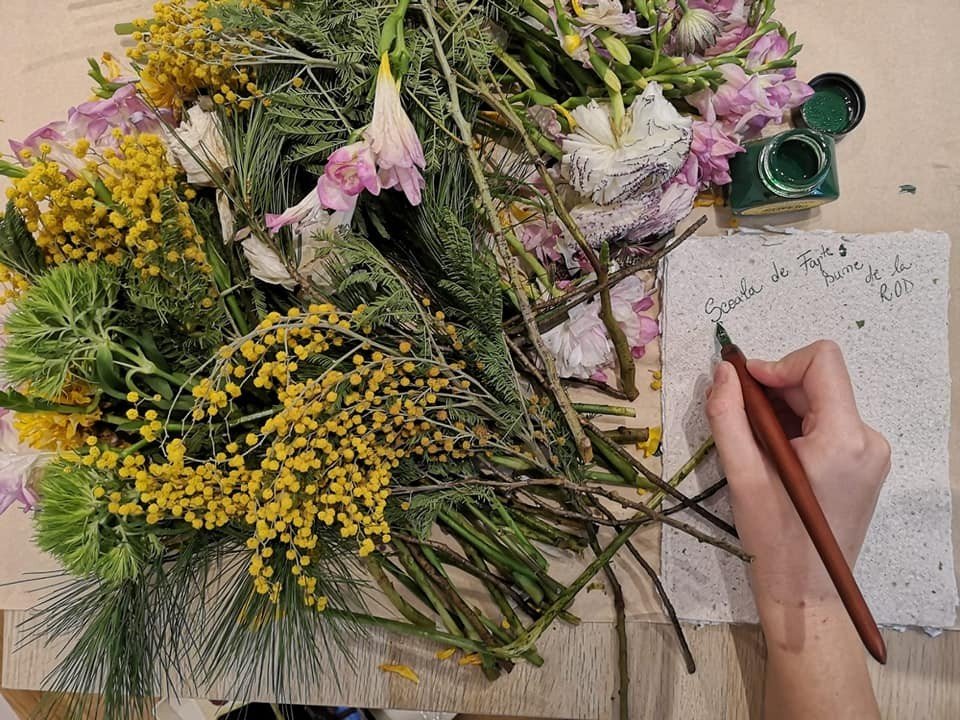 Faptele bune rodesc la Piatra Neamţ 165833