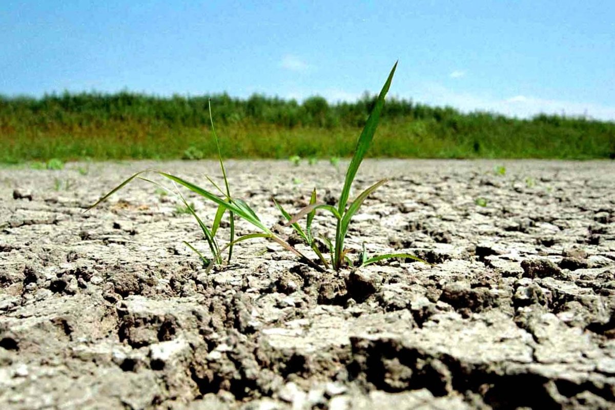 Fermierii, în blocaj financiar  166191