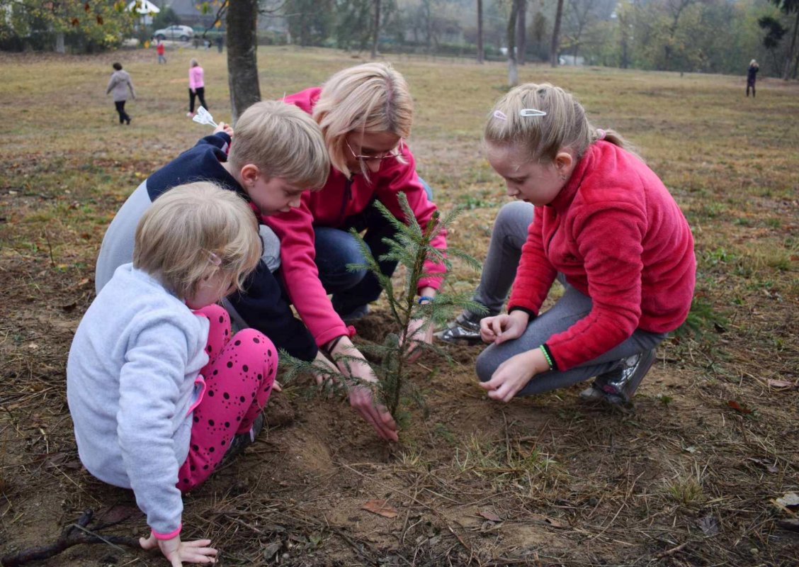 Educație pentru mediu din 2022 166300