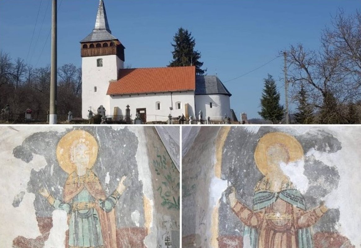 Revista presei 166769