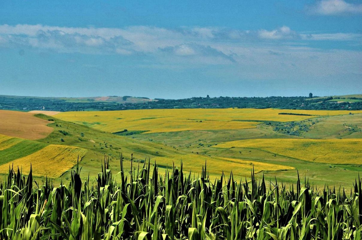 Propăşirea şi decăderea unei străvechi aşezări 166904