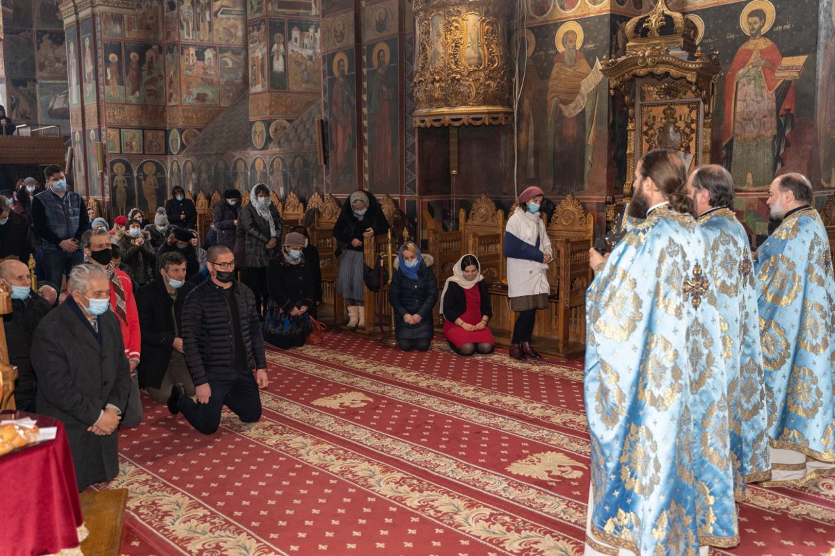 „Maica Domnului este mama noastră, a tuturor” 166966