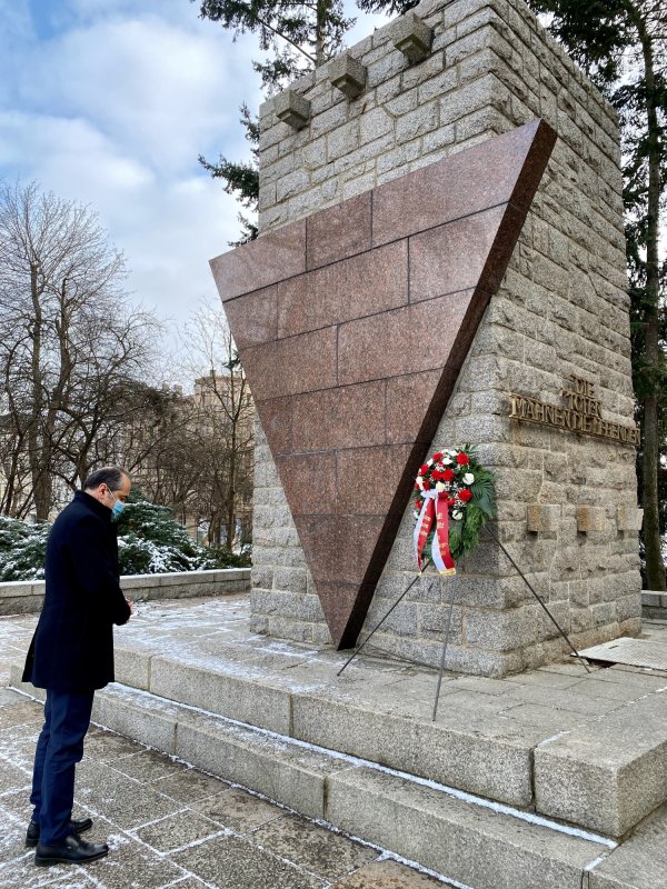 Primarul român din Germania 167062