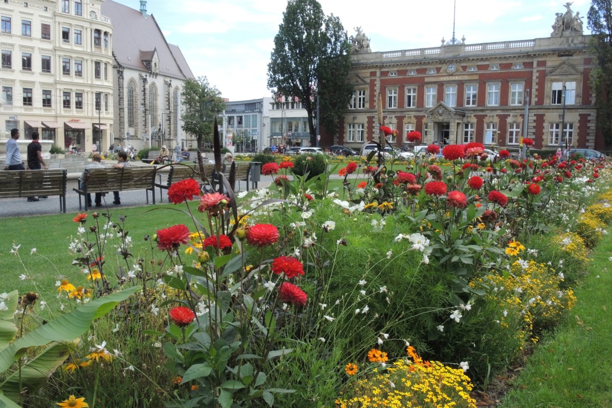 Primarul român din Germania 167067