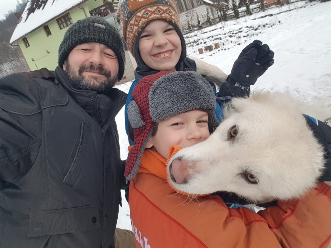 Repatrierea, mai dulce ca mierea 167807