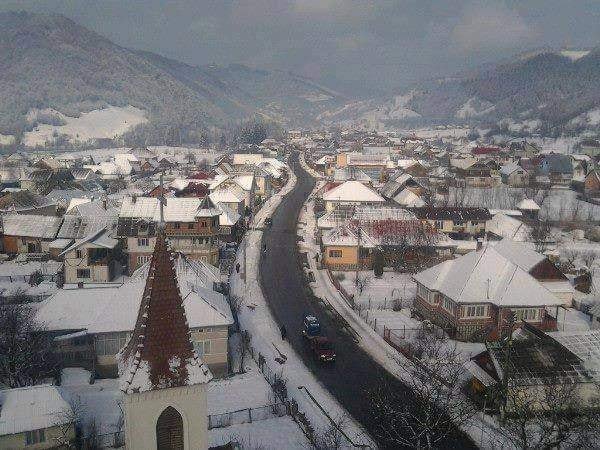 Repatrierea, mai dulce ca mierea 167816