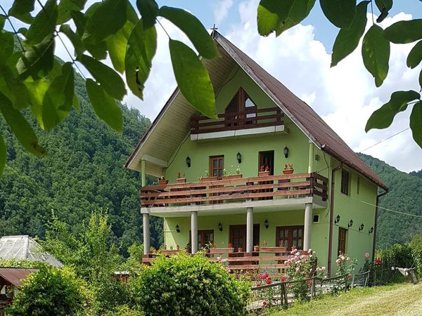 Repatrierea, mai dulce ca mierea 167829