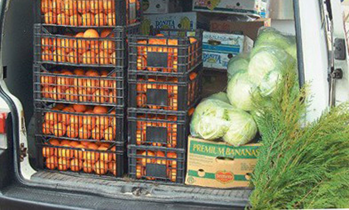 Alimente pentru spitalele din Gătaia  și Jebel, județul Timiș 168769