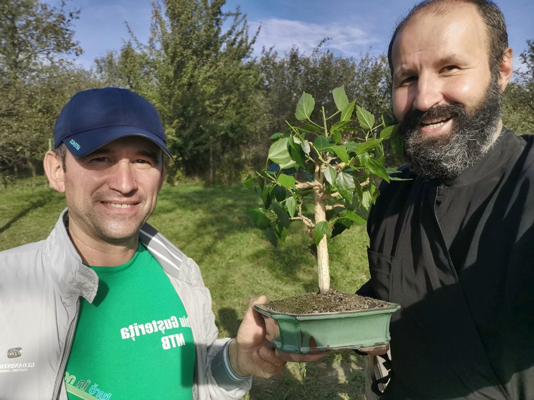 „Şura culturală” sau cum se reconstruieşte o comunitate în Sibiu 168733