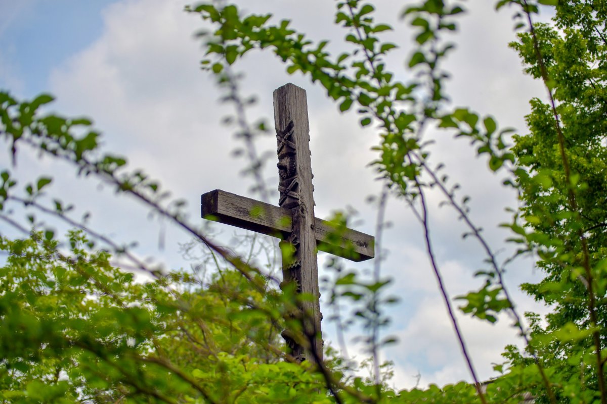 Am învățat să ucidem patimile, nu trupul 168894