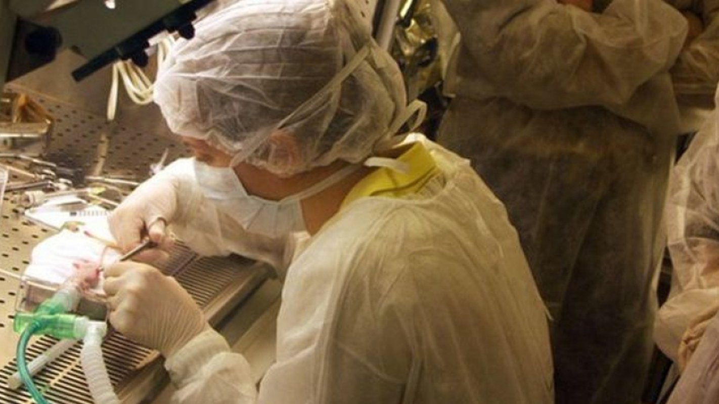 În studiu, vaccin împotriva cancerului 169080