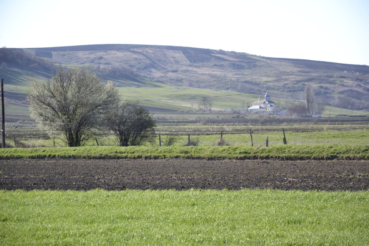 Paștile, o neîncetată poveste a primenirii 169443