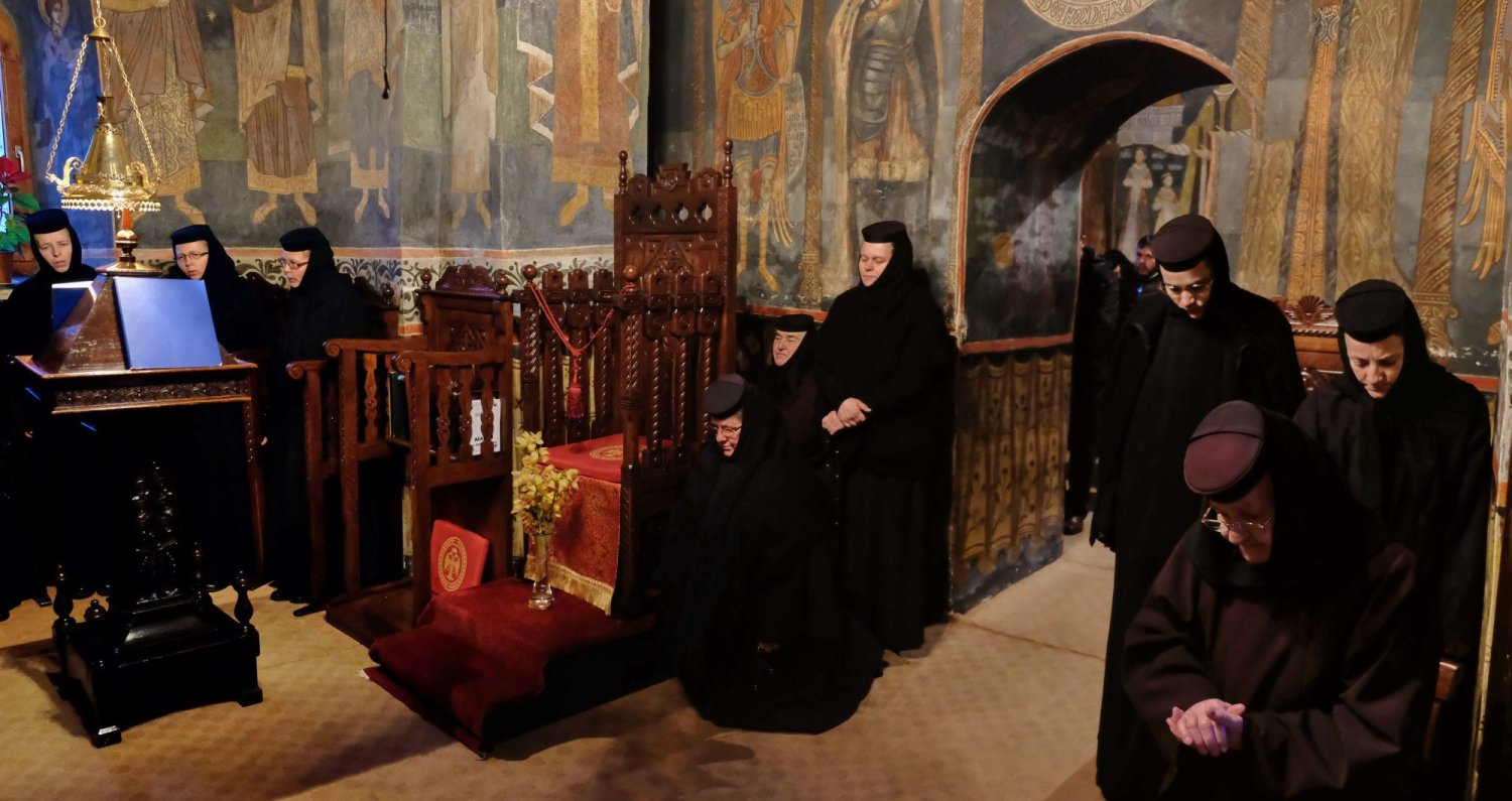 „Învață-ți inima să facă ceea ce învață limba” 170865