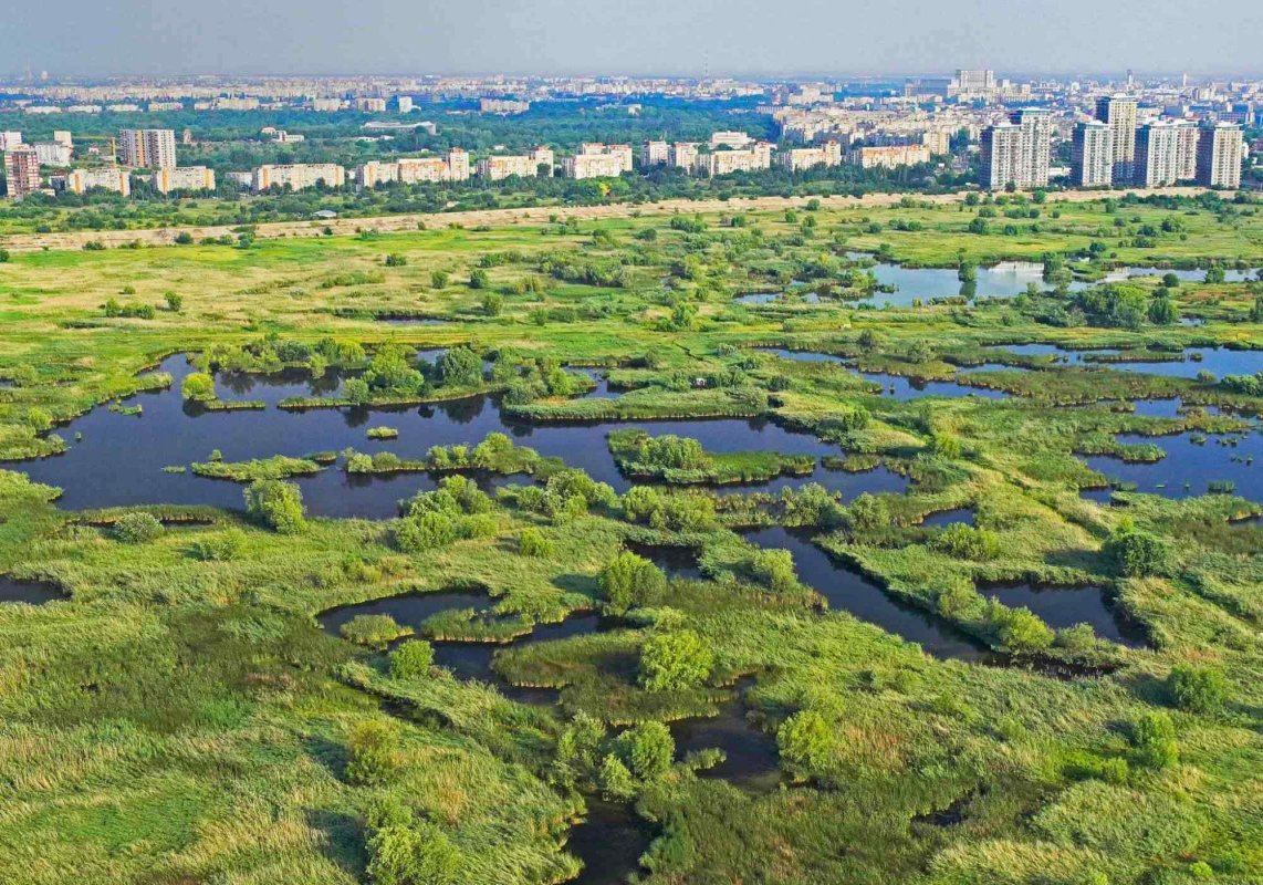 Parcul Văcăreşti a împlinit 5 ani 170974