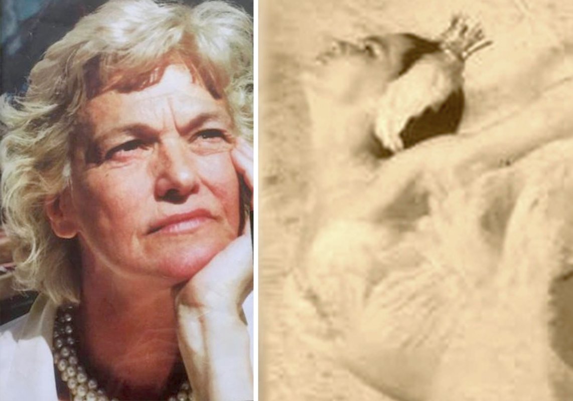 Paştile de acasă 171094