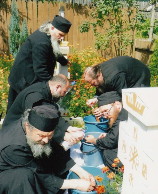 Cuviosul Visarion Toia, protoschimonahul martir de la Mănăstirea Lainici 171294