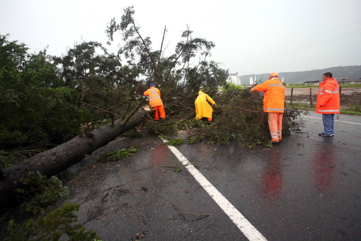 Pagube provocate de vreme 171494