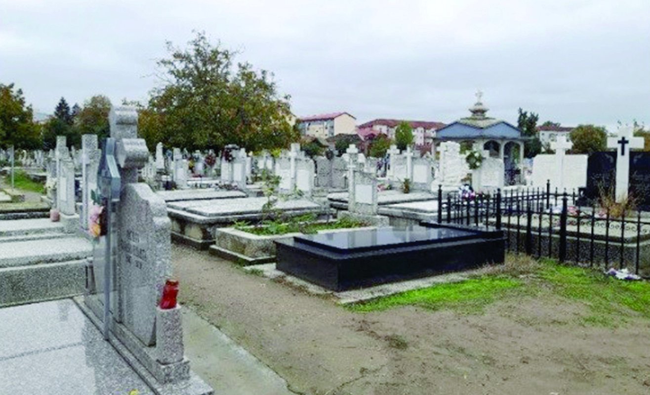 Revista presei 171900