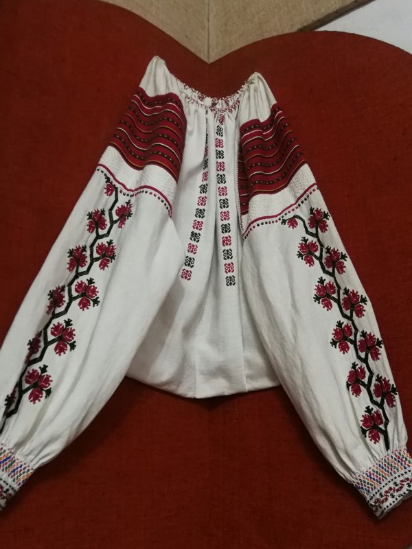 Lungul drum până la înscrierea în Lista Reprezentativă UNESCO 172217