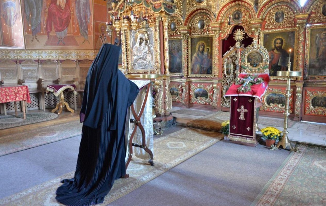 Simte-te ca un străin 172669