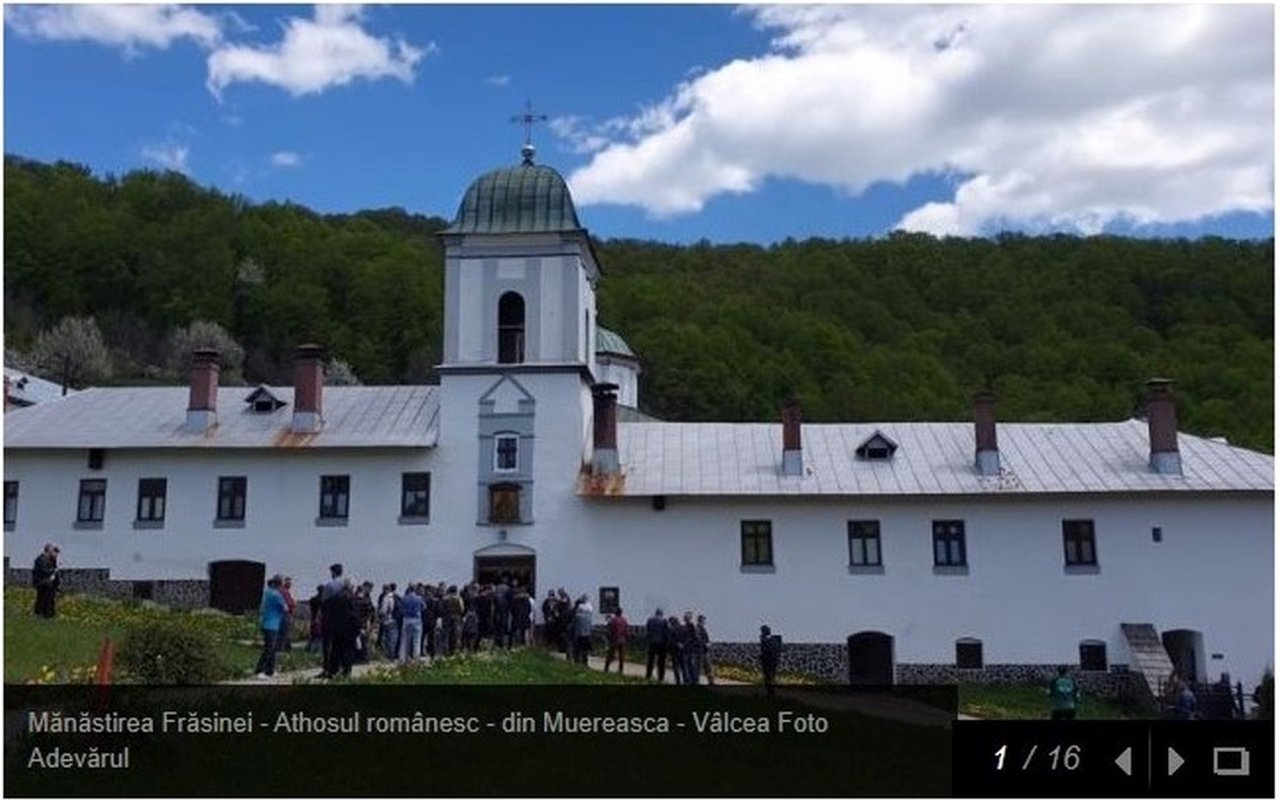 Revista presei 172771