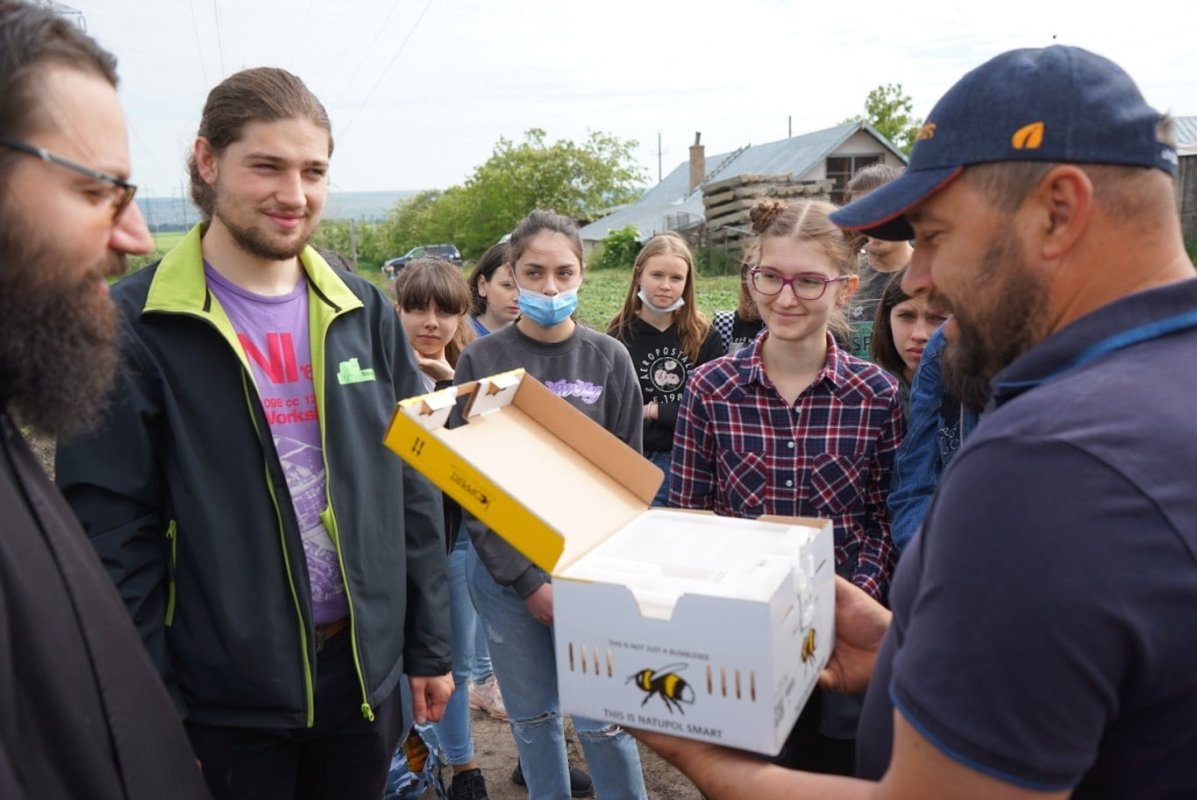 Ziua mediului, sărbătorită printre culturi ecologice de elevii suceveni 173258