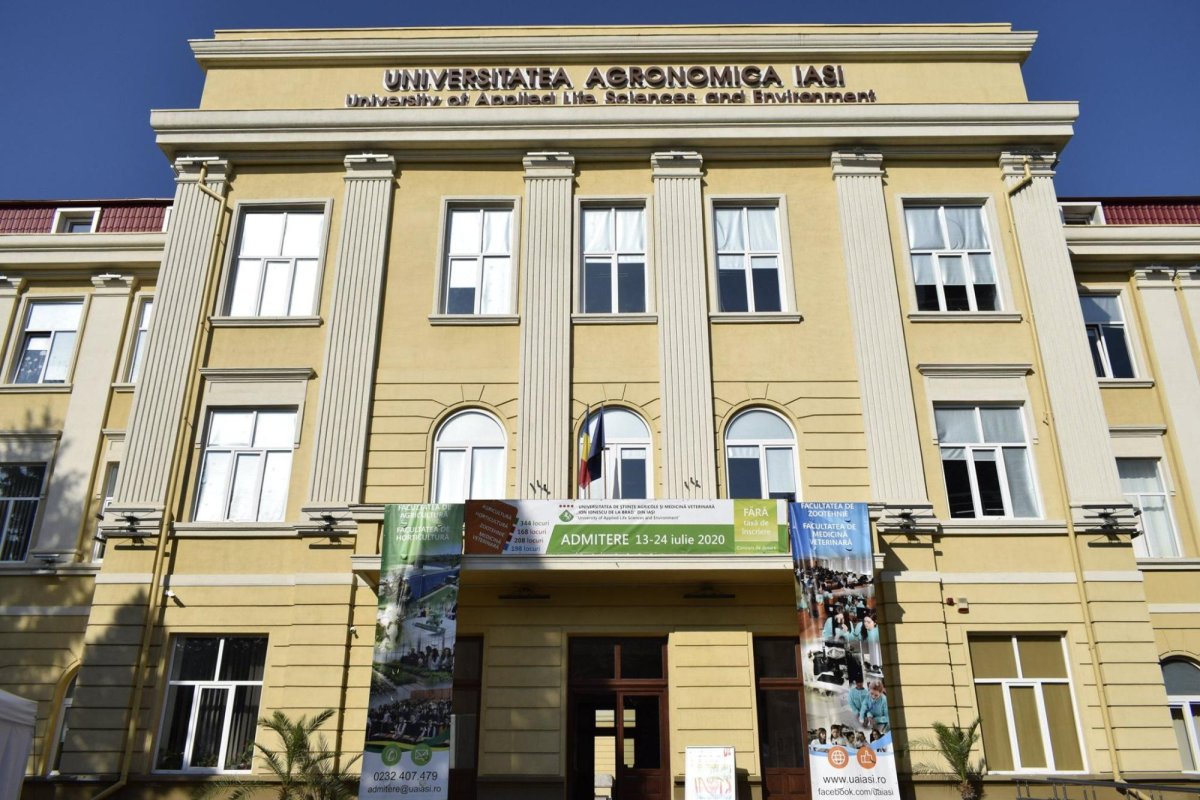 Granturi pentru studenţii antreprenori 173371