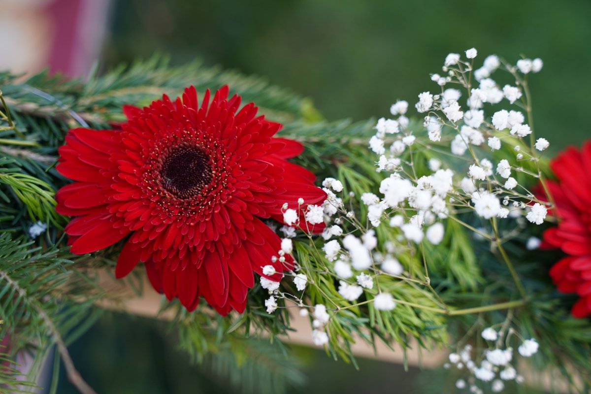 Hramul Mănăstirii Neamț 173425