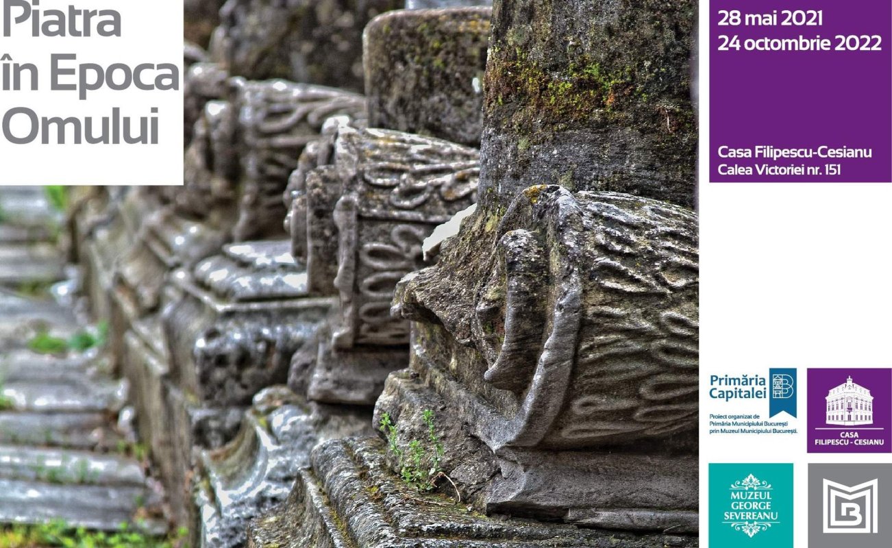 Piatra în epoca omului 174092