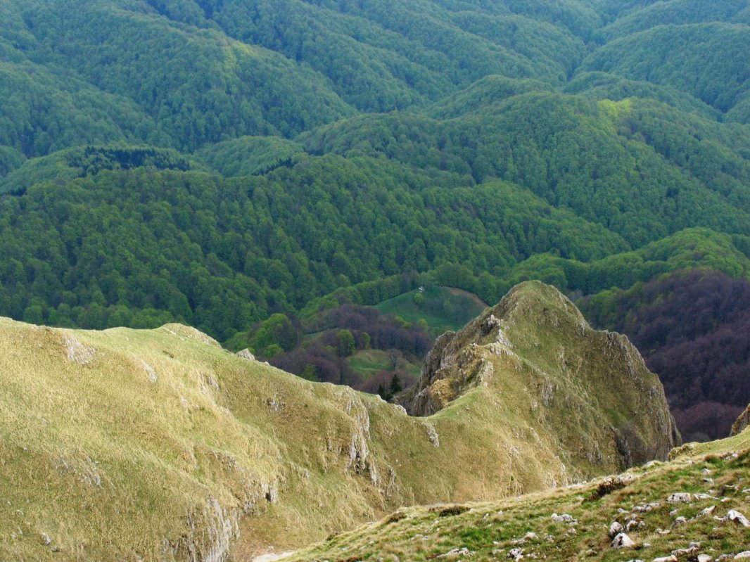 „Ar trebui să ne regândim relația cu natura la nivel planetar” 174477