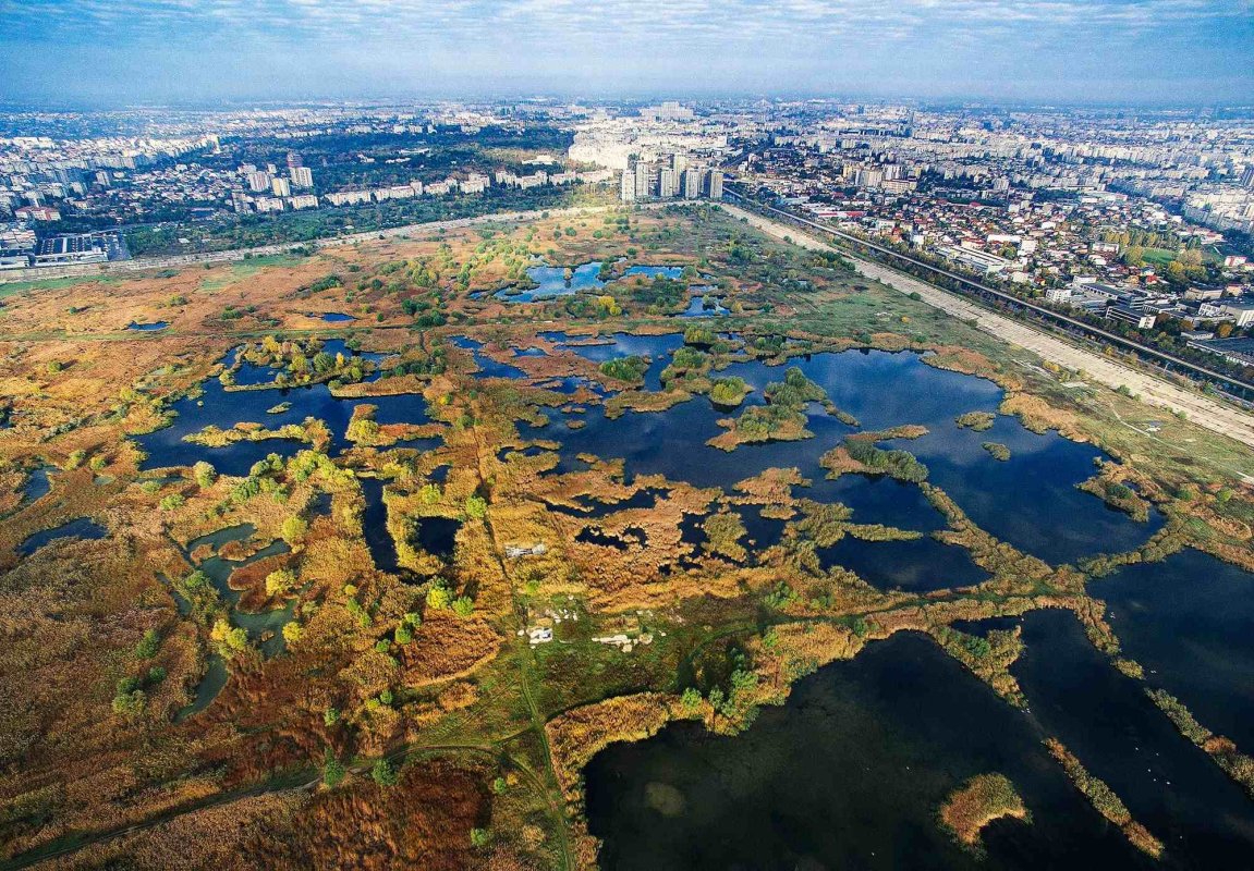 „Ar trebui să ne regândim relația cu natura la nivel planetar” 174479