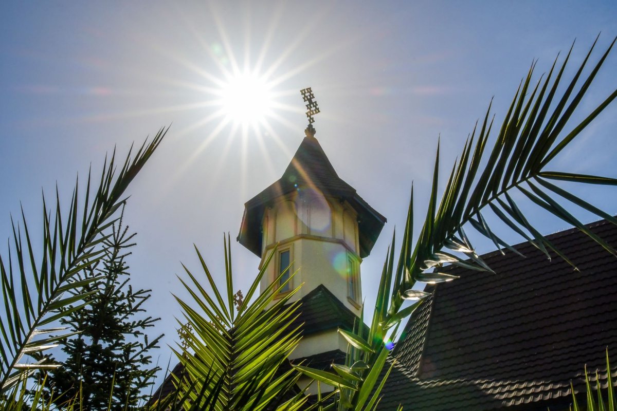 Pogorârea Duhului Sfânt și arătarea chipului Tatălui în oameni 174484