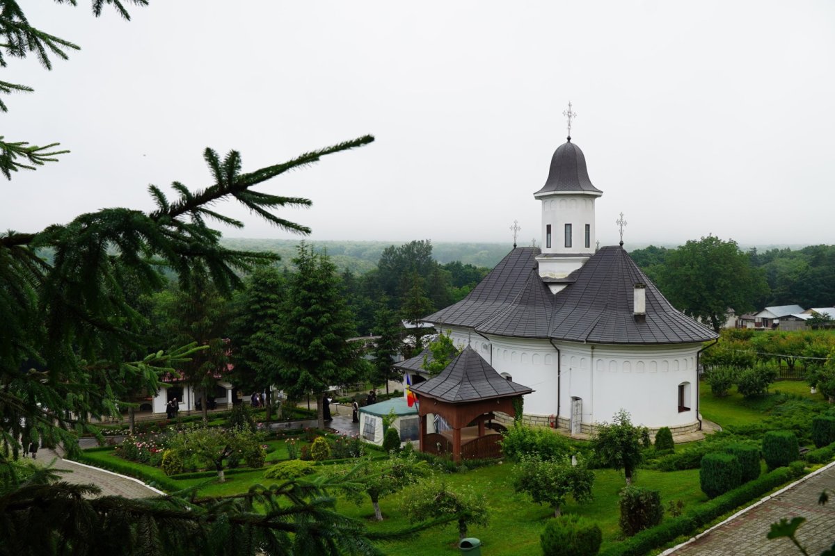 Tinerii s-au întors în catedrala lor cu vitralii foşnitoare 174735