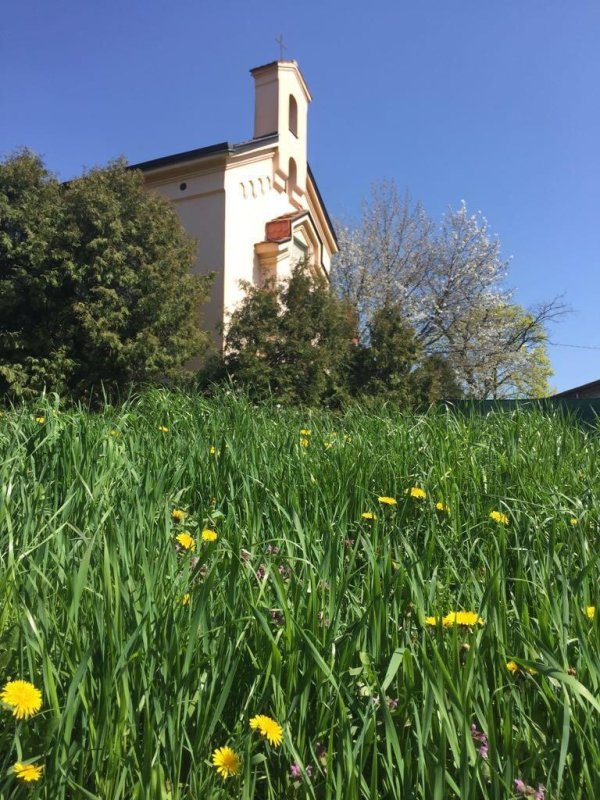 Biserica românilor ortodocşi din Zagreb 174877