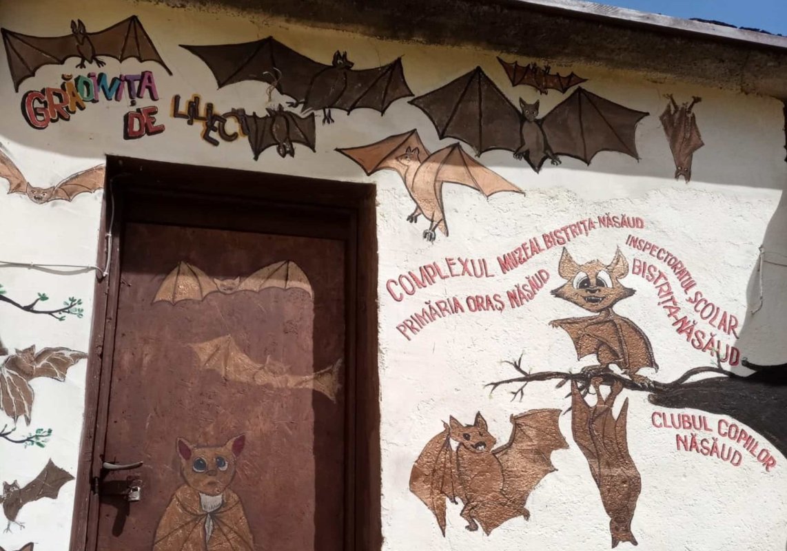 Proiect educaţional inedit dezvoltat de un preot speolog 174928