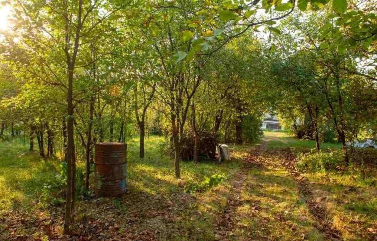 Grădină comunitară în Oradea 175086