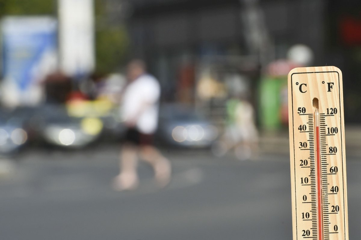 A doua parte a verii  va fi secetoasă 175603