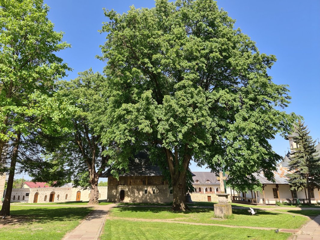 Casa de la Suceava a Sfântului Ioan cel Nou 175661