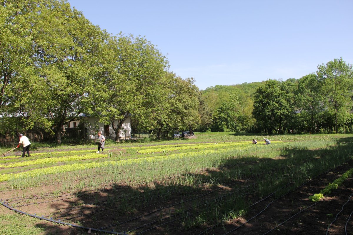 Casa de la Suceava a Sfântului Ioan cel Nou 175670