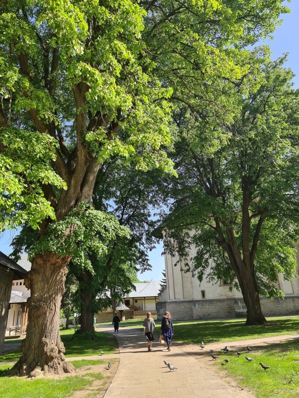 Casa de la Suceava a Sfântului Ioan cel Nou 175678