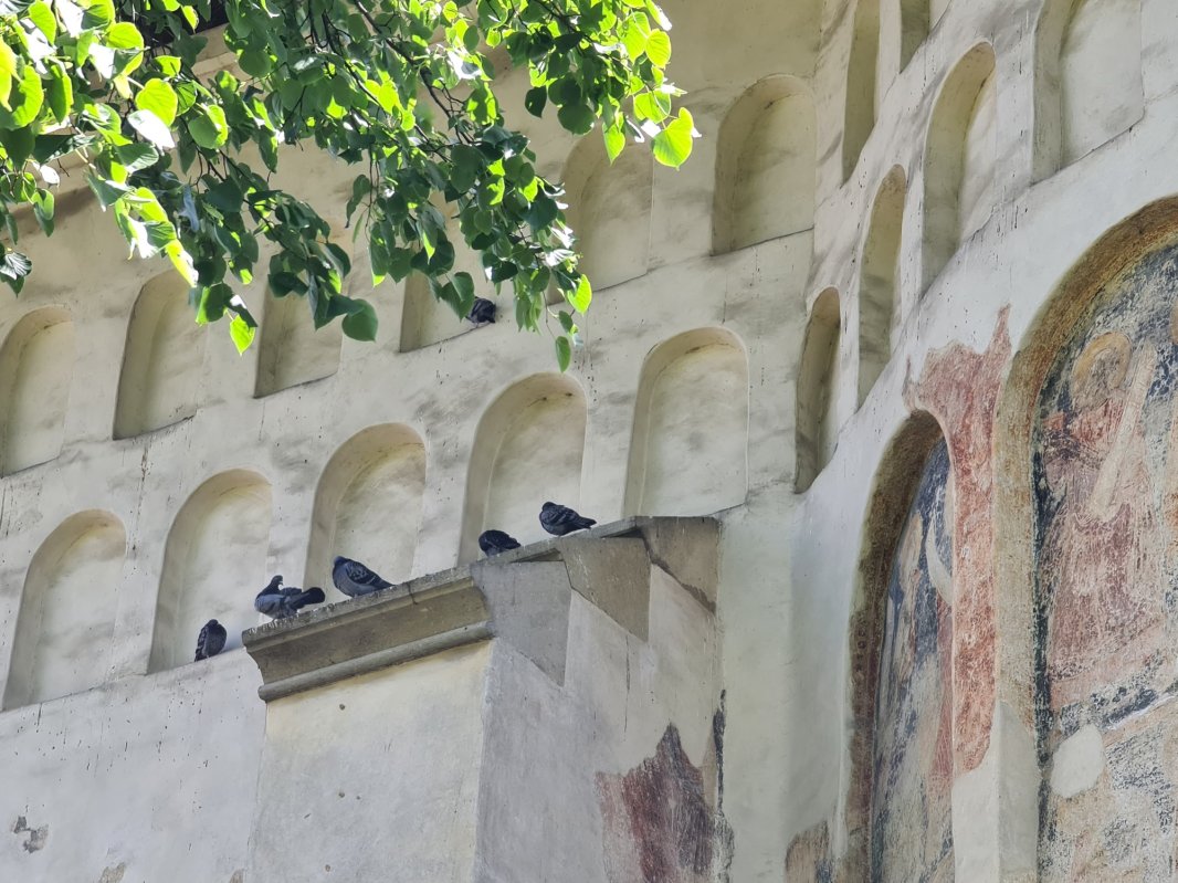 Casa de la Suceava a Sfântului Ioan cel Nou 175680