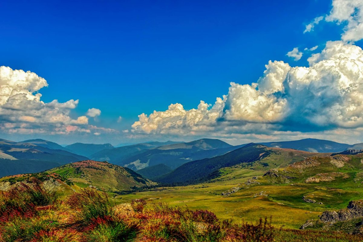 Mintea unei inimi de copil 175701